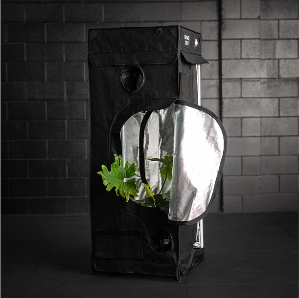 50x50 grow tent Grow Kits | Indoor Grow Tent Kits-Stage 5
