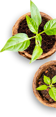 services items image