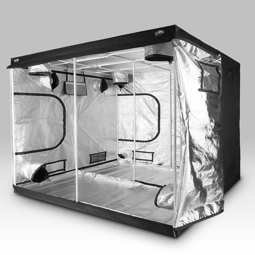 grow tents new zealand Eclipse Elite Grow Tent - 300x300x200cm