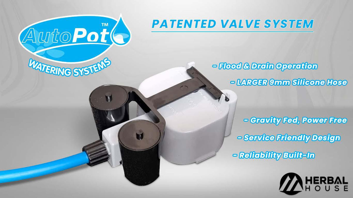 Autopot, XL Kit Builder | Herbal House NZ