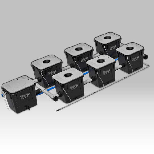 Current Culture UC6XL RDWC