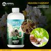 Heavenly Harvest - Late Bloom