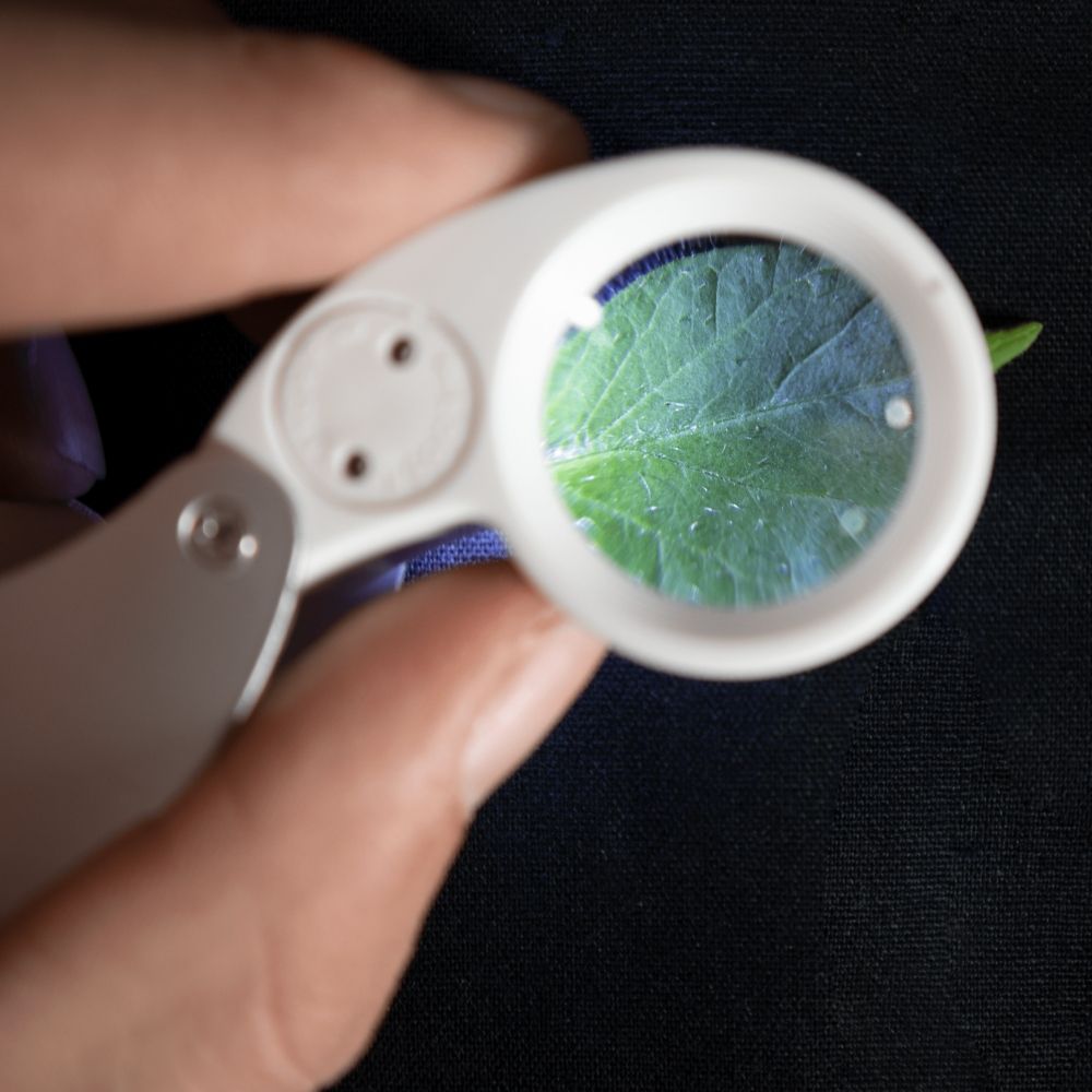 Jewelers Loupe, pocket magnifying glass - 40x Zoom